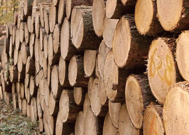 Tall outdoor stack of pale log ends with yellow yard marking on one face