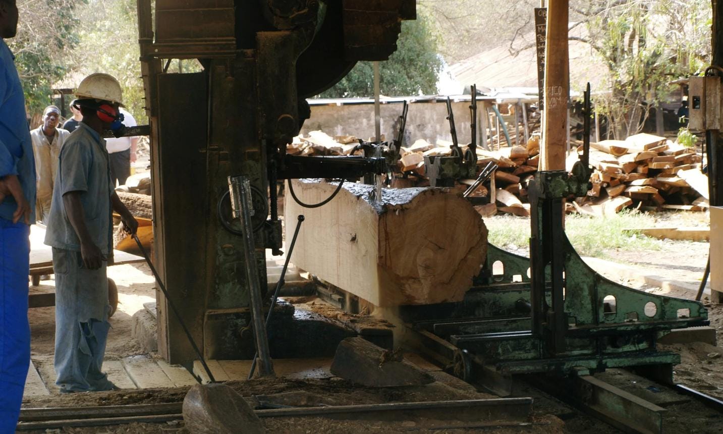 Worker in safety gear monitoring a green bandsaw cutting a large light-colored log