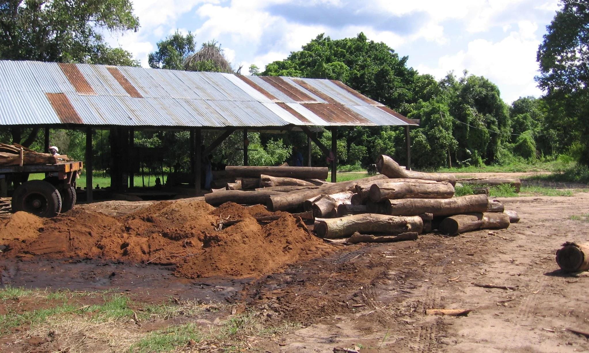 Rural timber yard with raw log stack, sawdust mound, and open corrugated metal shed